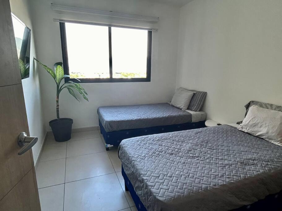 Apartamento Spectacular Night Views San Salvador